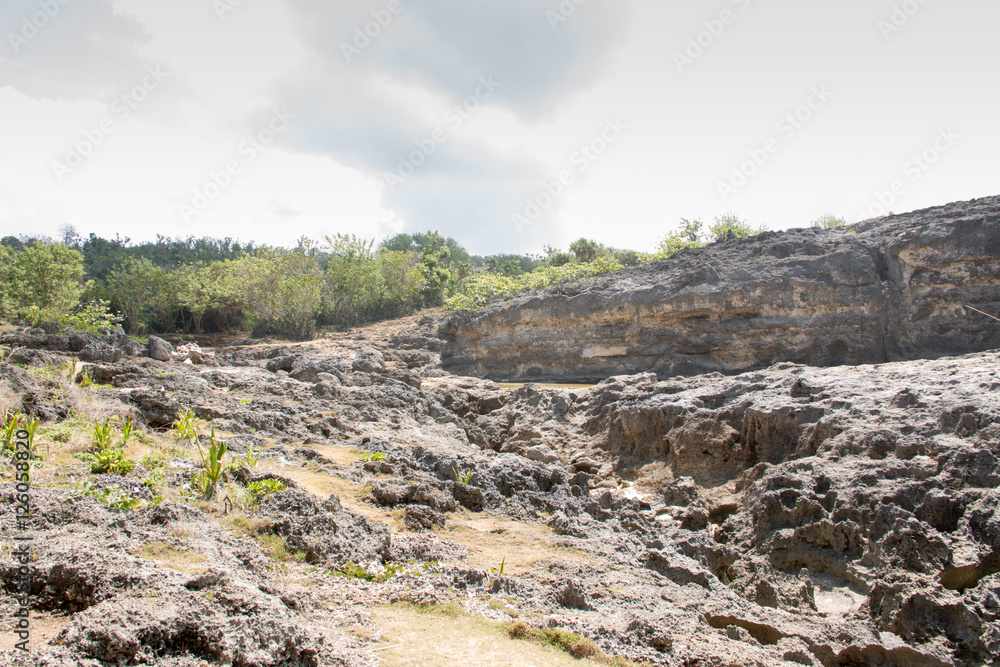 Dry Lava Basaltic Rock Stone Background at Mount Batur Kintamani Bali Indonesia