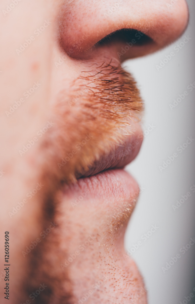 Obraz premium Close up of an adult man's ginger red brownish handlebar moustache for Movember
