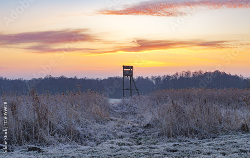 Hunting tower in the frosty morning 