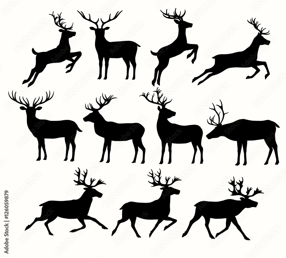 Obraz premium Sylwetki jeleni