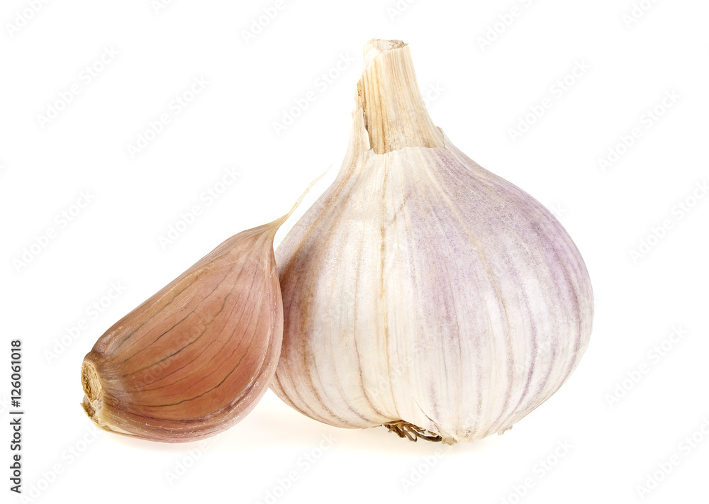 Obraz premium Garlic isolated on white background