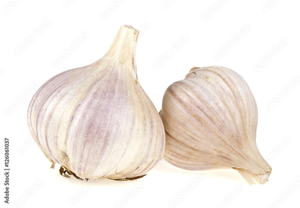 Fototapeta premium Garlic isolated on white background