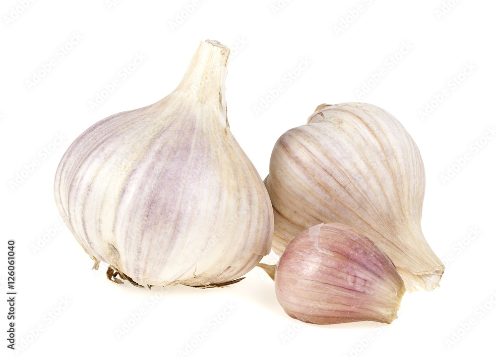Fototapeta premium Garlic isolated on white background