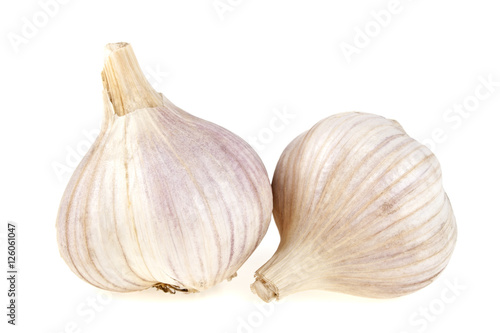 Garlic isolated on white background