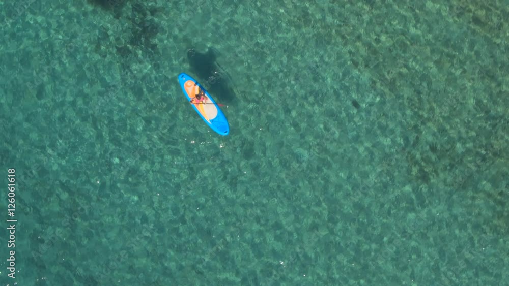 AERIAL: Woman in pink bikini supping in crystal clear ocean with visible seabed AERIAL: Woman in pink bikini supping in crystal clear ocean with visible seabed