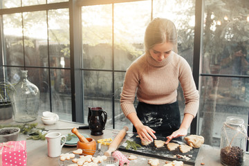Female confectioner cooking at kitchen, homemade cuisine preparing. Young woman preparing gingerbread cookies for baking. Xmas sweet, winter holidays concept