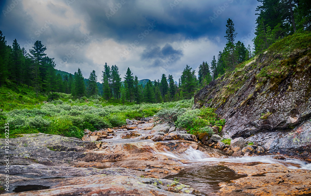 Obraz premium mountain stream in taiga