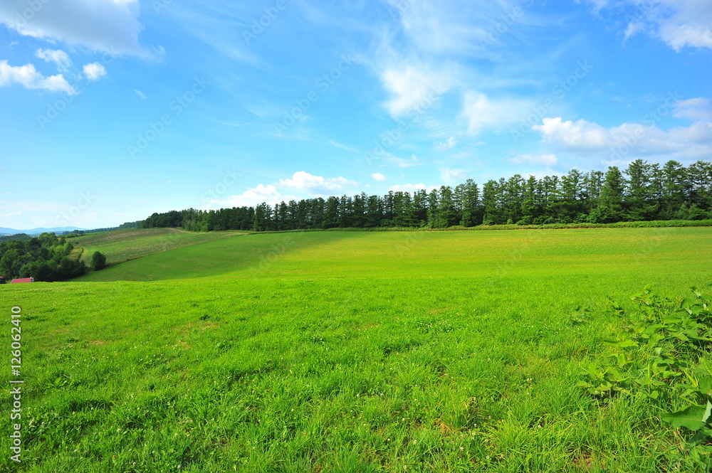Obraz premium Green Fields Wallpaper