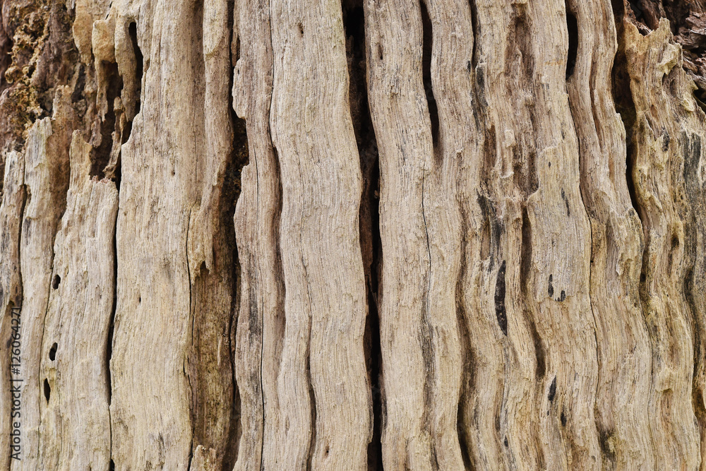 Details of the nature for background Details of the nature for background