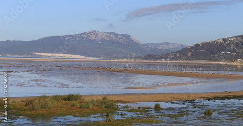 Los Lances, an intertidal habitat on the Andalucian coast, Spain.