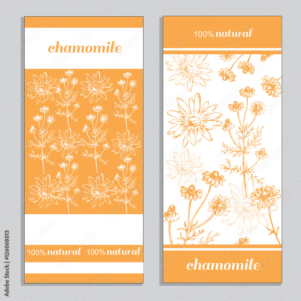 templates card with herbal chamomile