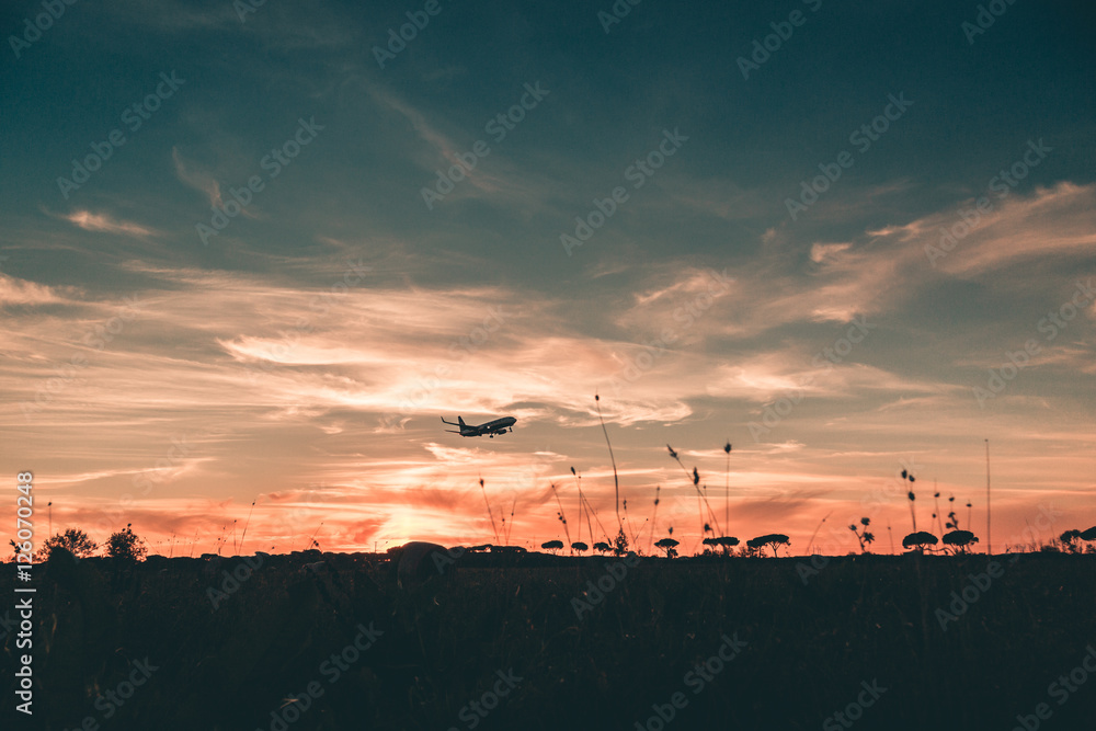 Silhouette of a Passenger Airplane is Approaching at the Airport at the Sunset.