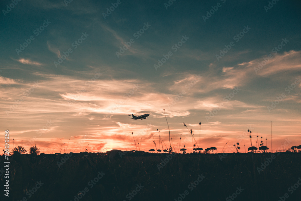 Silhouette of a Passenger Airplane is Approaching at the Airport at the Sunset.