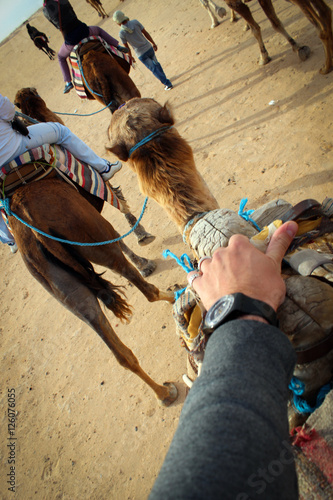 Caravan in Sahara desert, Tunisia