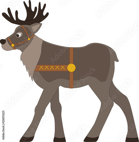 reindeer in harness