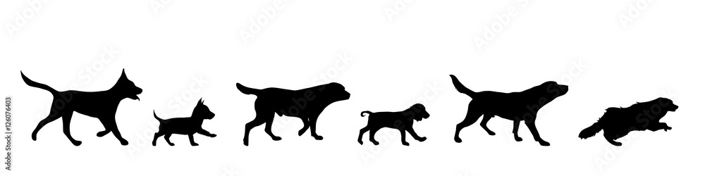 Vector illustration of dog. Vector illustration of dog.