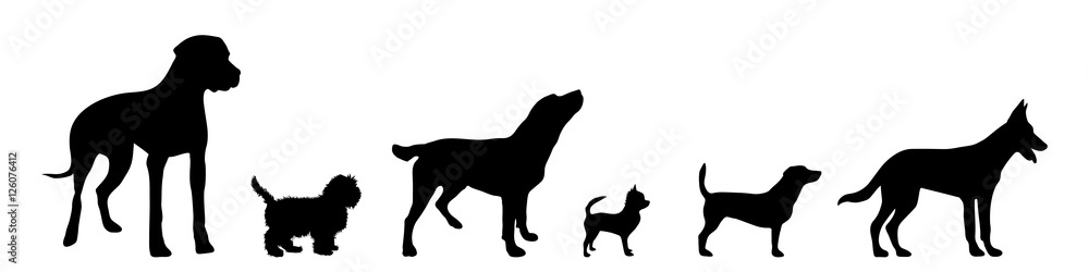 Vector illustration of dog. Vector illustration of dog.