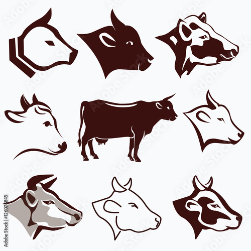 cow head portraits collection in different styles, design elemen