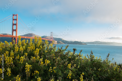 Golden Gate Bridge 3