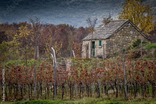 Old stone house next to a wineyard on the hill in autumn