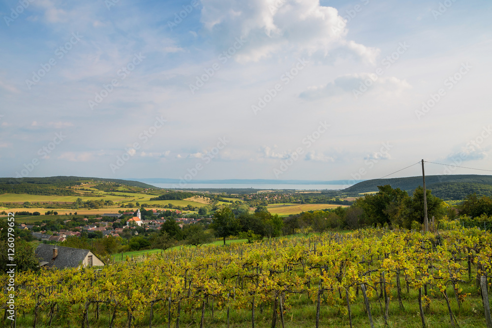 Balaton and Nivegy valley wine region, Hungary