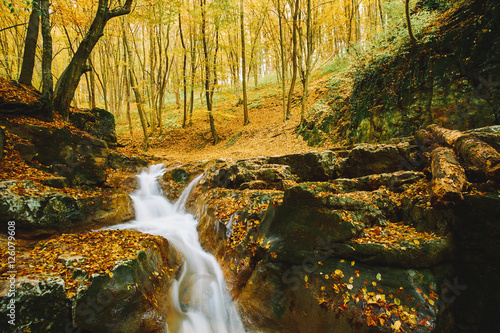 Autumn flowing stream