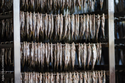 production of dried fish