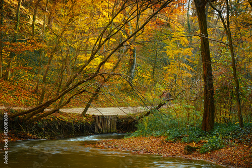 Autumn flowing stream