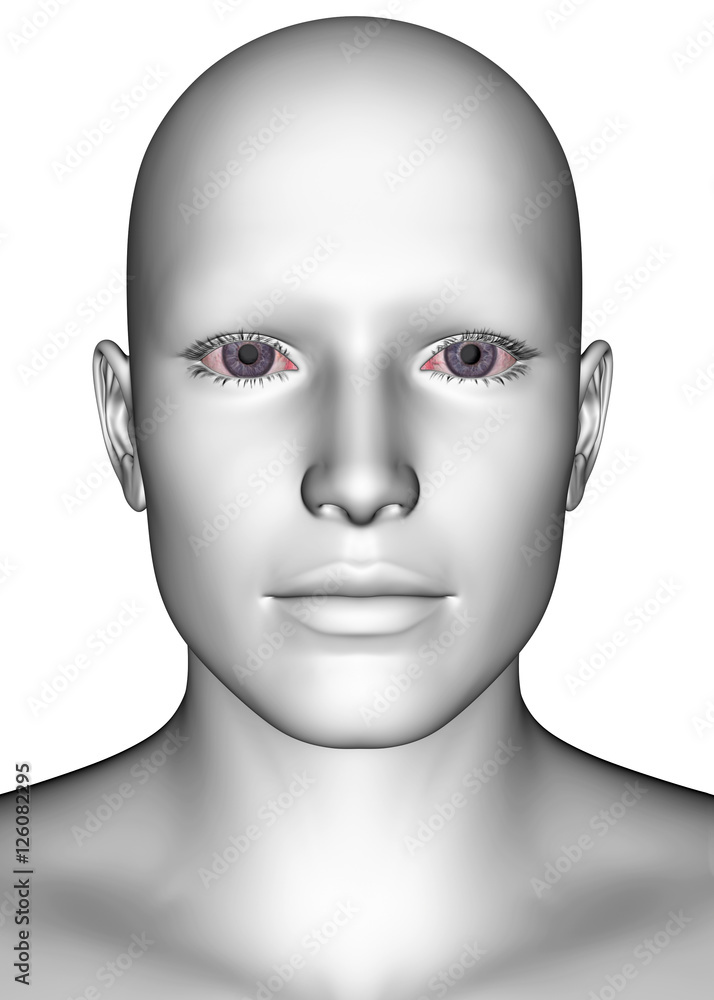White Human Face - 3D White Human Face - 3D