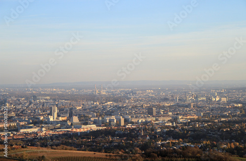 the view of austrian capital Vienna
