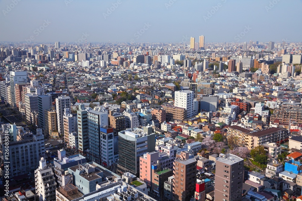 Bunkyo Ward in Tokyo, Japan. Big city. Large city aerial view.