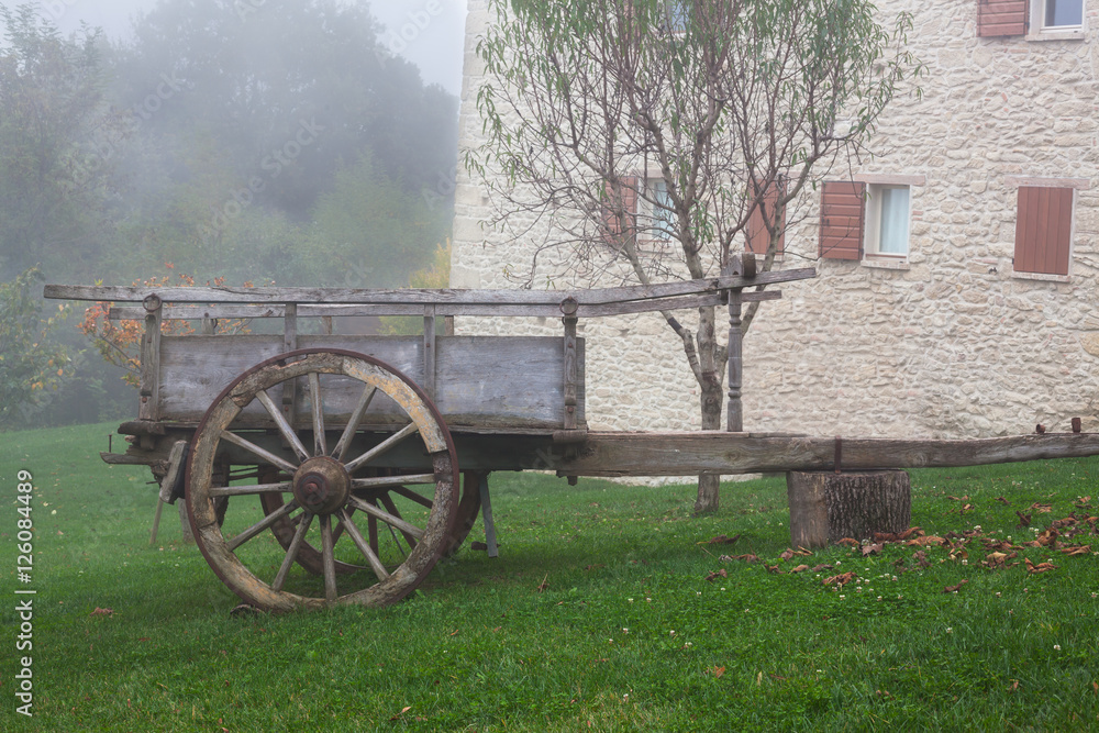 Fototapeta premium Old cart.