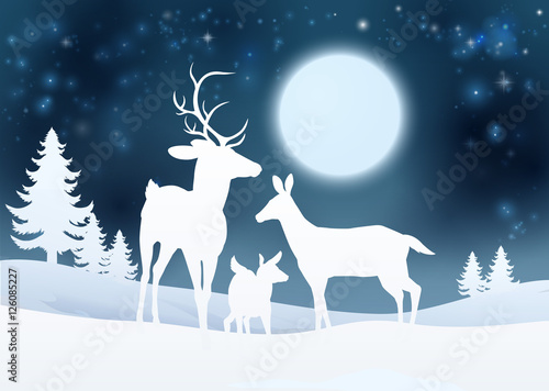 Deer Winter Scene Background