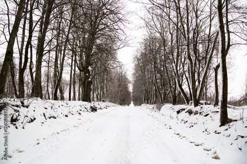 Snowy road © Ruslan Mitin