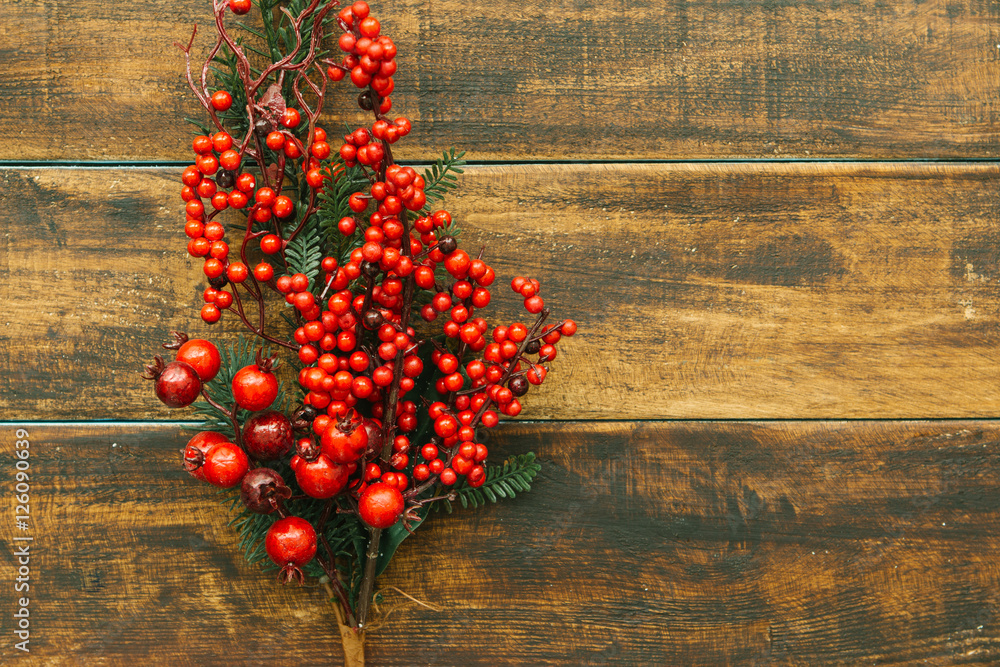 Christmas branch with red fruits Christmas branch with red fruits