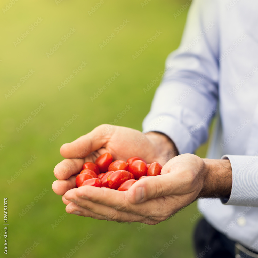 Farmer in his vegetable garden