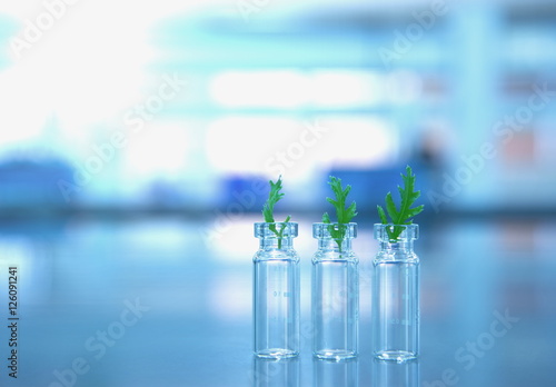 small glass vials with green leaves with  in lab science