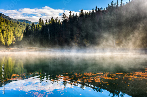 Fototapeta Naklejka Na Ścianę i Meble -  lake in foggy spruce forest in mountains