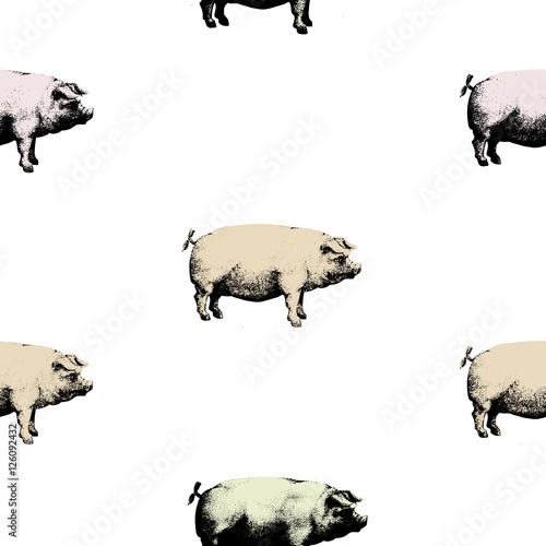 Seamless vector pattern wits pigs