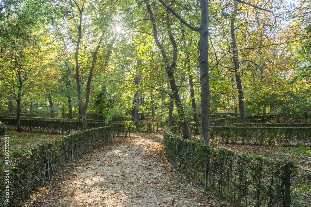 Fototapeta premium El Retiro park, Madrid, Spain