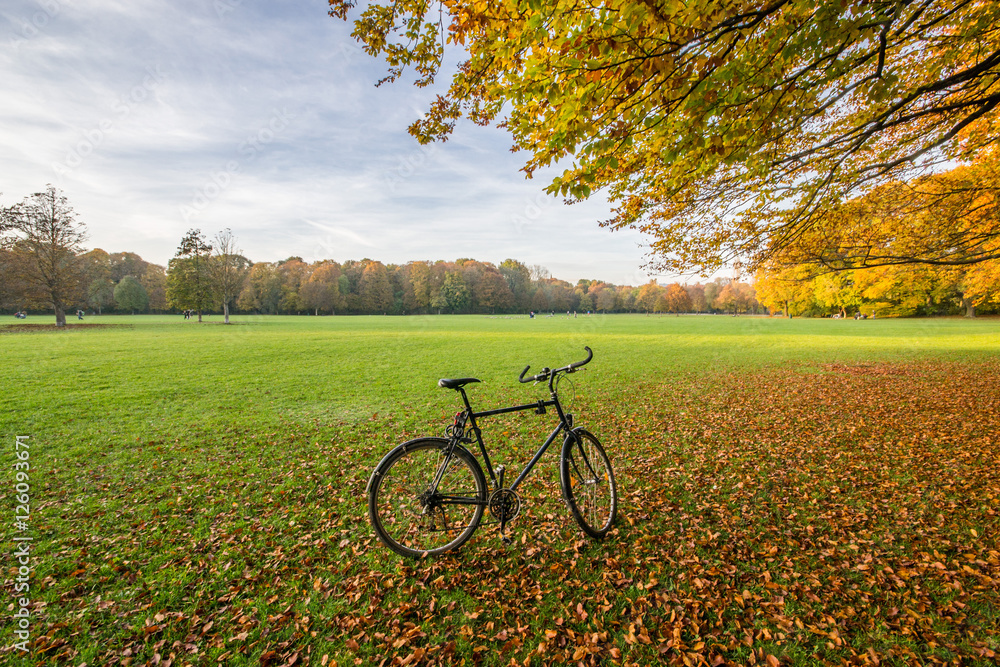 Bicicletta in autunno all'Englischer Garten di Monaco di Baviera, Germania 
