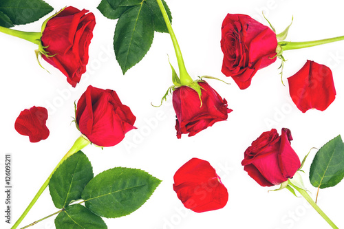 Red roses and petals isolated on white background    