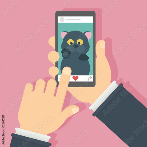 Cat on the screen. Hand holding mobile phone with funny black cat. Concept of internet videos, applications or social networks.