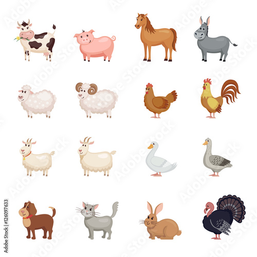 Farm animals set in flat style.