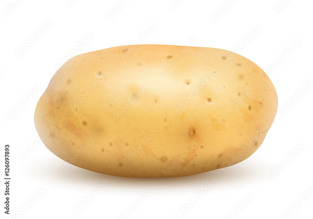 Pomme de terre vectorielle 1 Pomme de terre vectorielle 1
