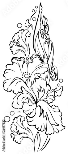 Fototapeta Naklejka Na Ścianę i Meble -  Black and white sketch of beautiful iris flower. Drawing made on computer by graphic tablet. Vector  image.