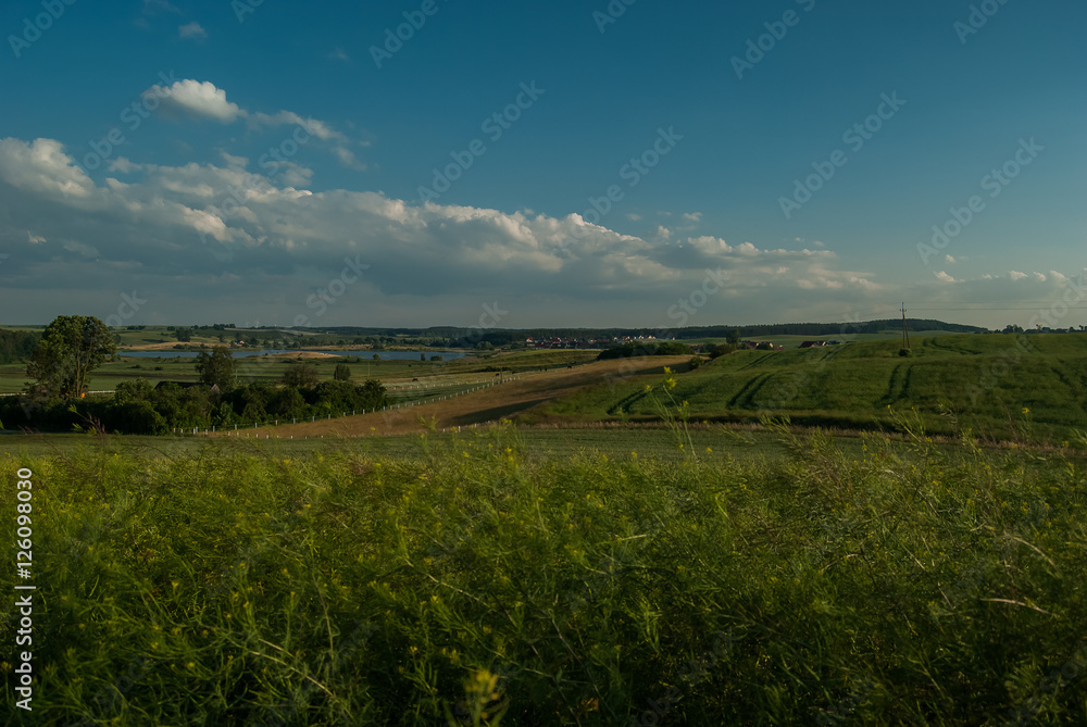 Obraz premium Pole, Lubiszewo, Pomorskie, Polska