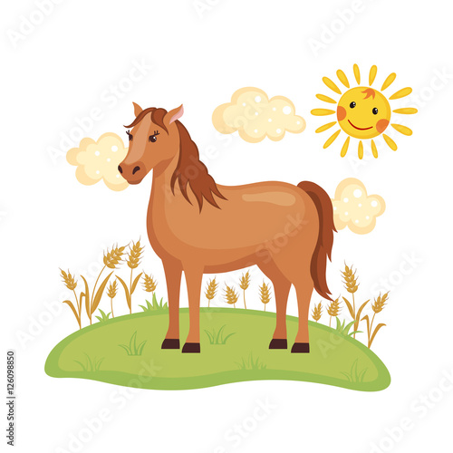 Cute Horse on a field.