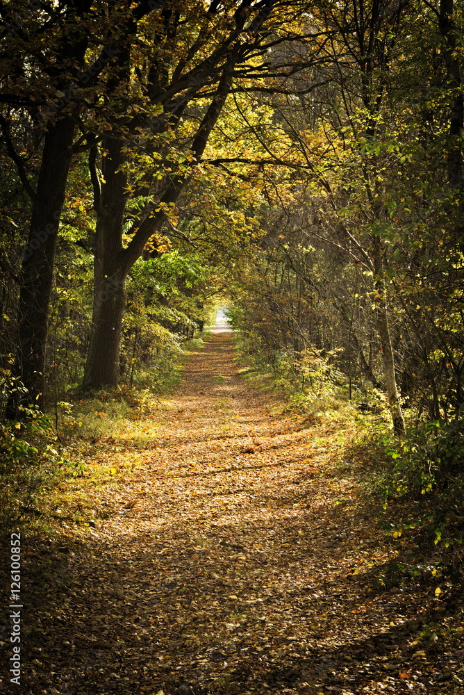 Herbstweg Herbstweg