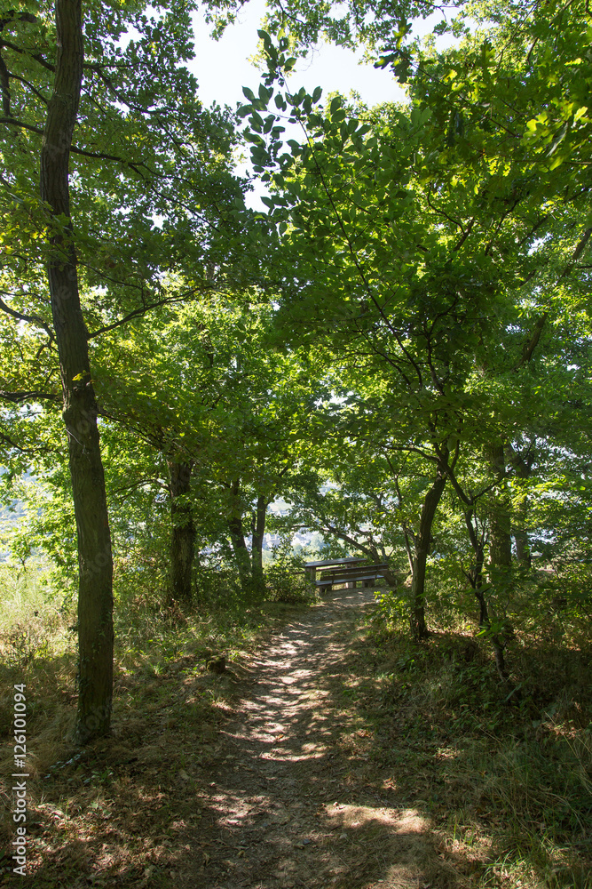 Fototapeta premium Wandern